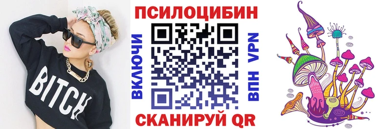 Псилоцибиновые грибы Psilocybine cubensis  Долгопрудный 