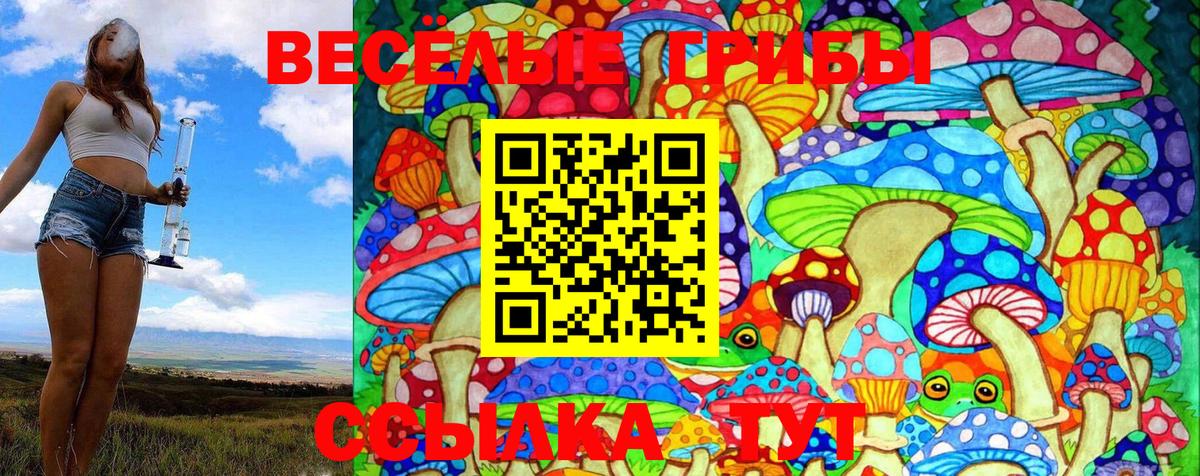 Псилоцибиновые грибы Magic Shrooms Долгопрудный
