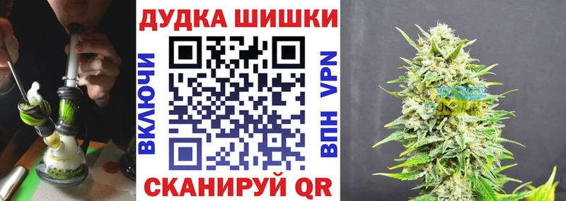 Шишки марихуана сатива  где продают наркотики  Долгопрудный 